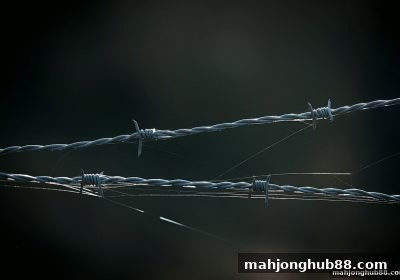 「麻将胡了2试玩」入门必读：PG老虎机平台合法性的全方位鉴别指南